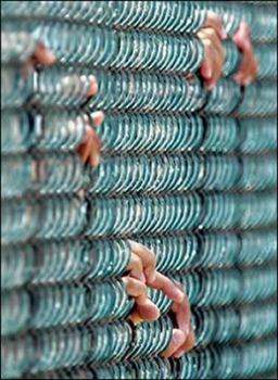 Study: Gitmo Doctors Ignored Signs of Torture