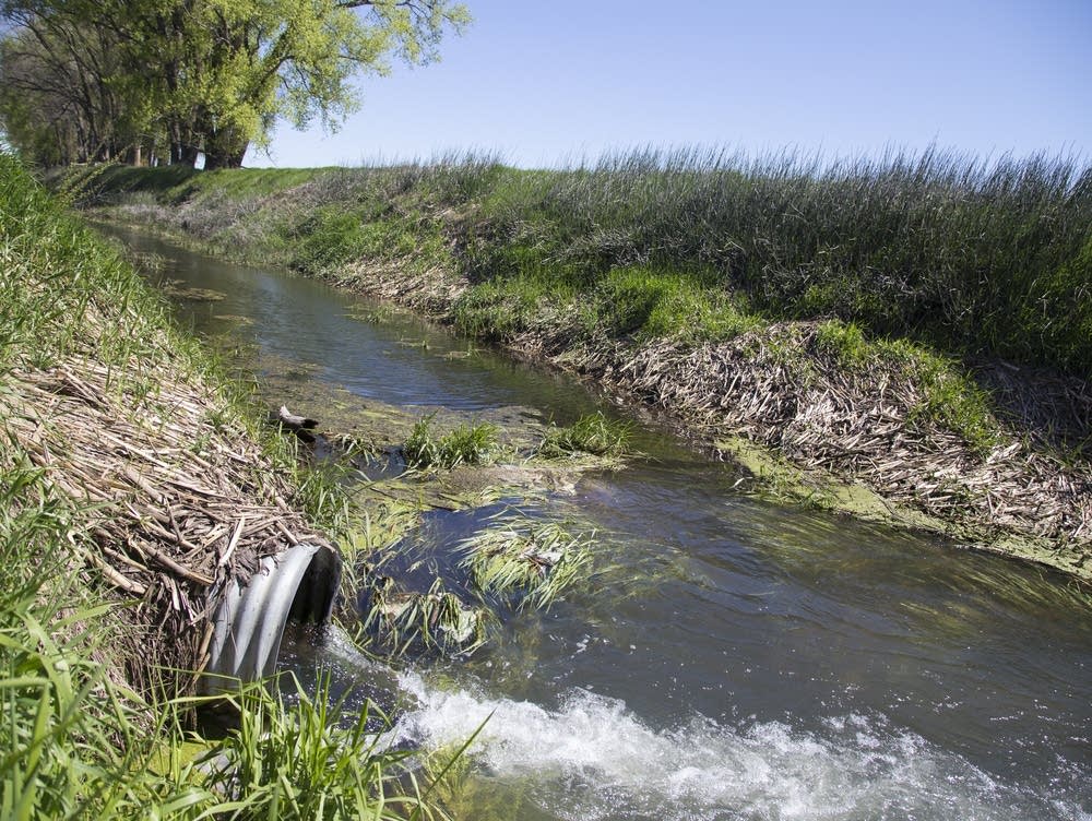 Cancer, capitalism, and corporate farms in Iowa
