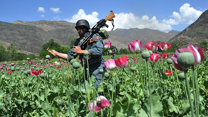 Poppy fields forever? Record opium output boosts Afghan warlords’ power base