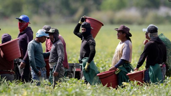 Migrants save Latin American economies