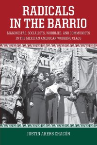 Book review: “Radicals in the Barrio”