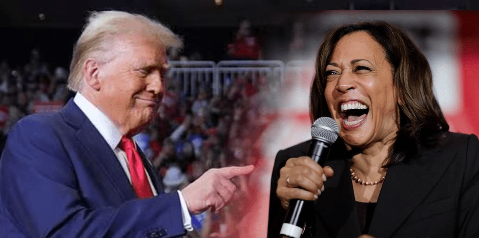 Election 2024: Fascism is at the gates