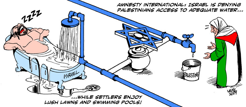 Israel appropriates 82% of Palestinian water