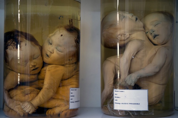 Chemical Warfare At Its Worst