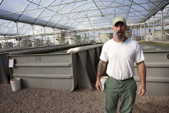 Modern Chain Gangs: the Profitability of Prison Labor Today