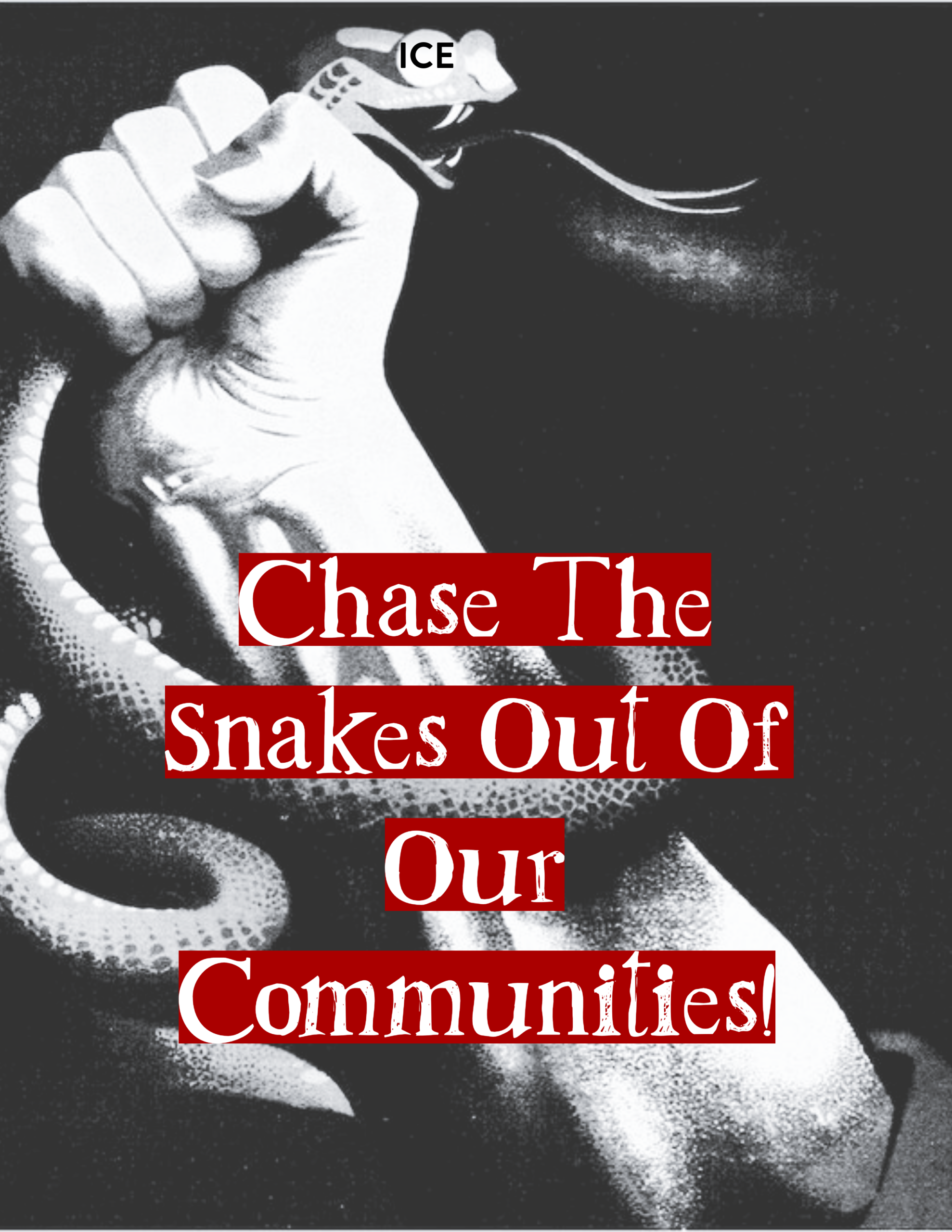 ICE: Chase the Snakes Out