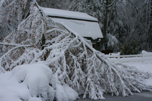 Several Northeast states reduce federal home heating aid benefits to poor families