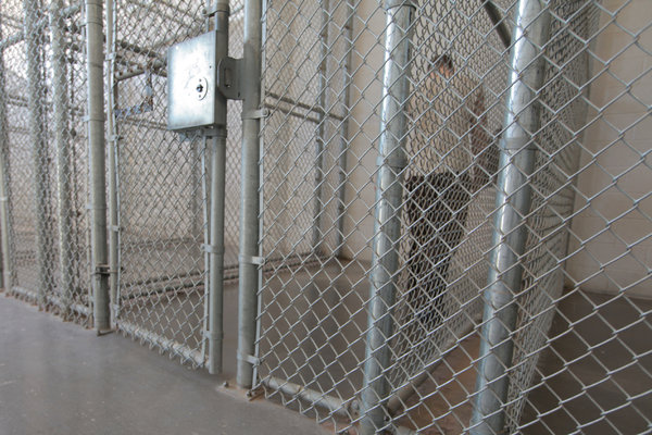 Immigrants Held in Solitary Cells, Often for Weeks