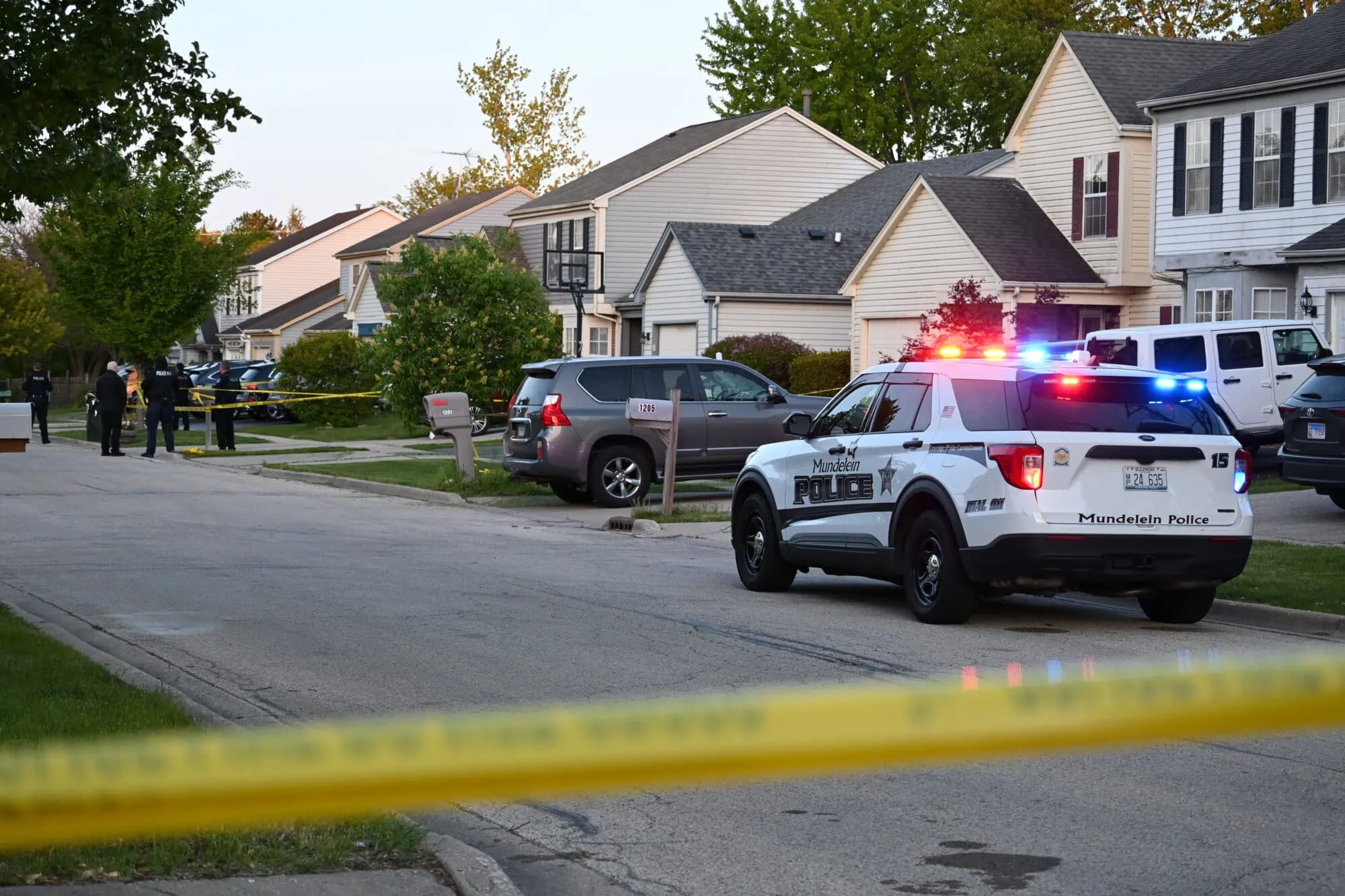 Cops murder suicidal woman in Chicago suburbs: Justice for Mary Alice Love!