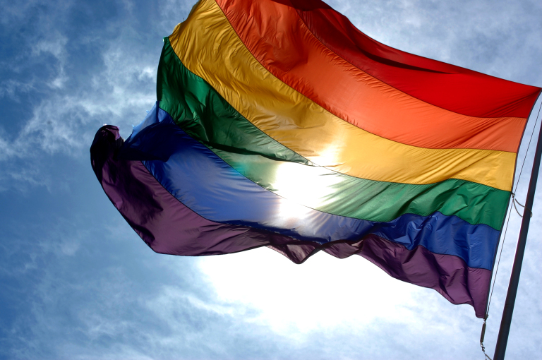 Members of the APL: What a Revolutionary Pride Means to Us